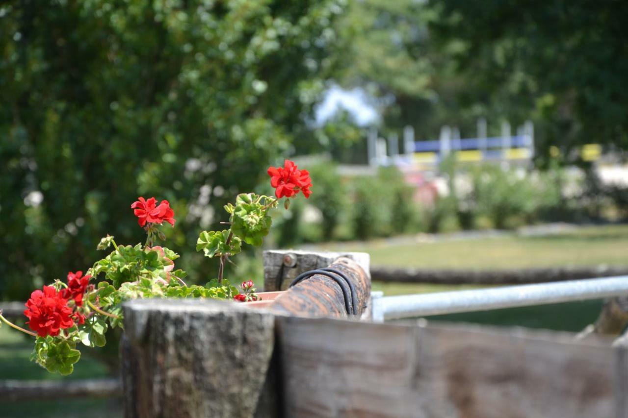 Gite Du Haras Les Aubiers Exterior foto