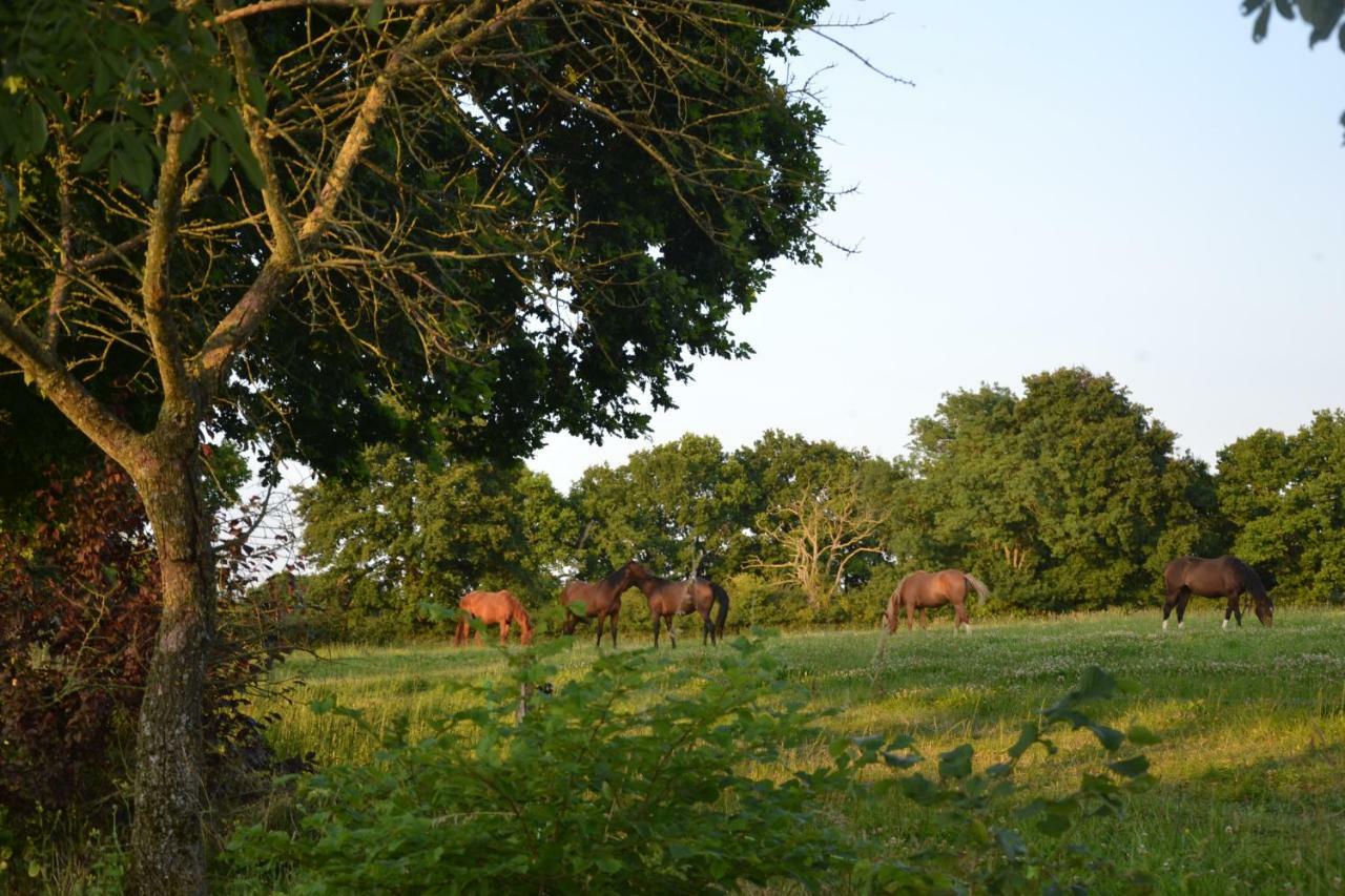 Gite Du Haras Les Aubiers Exterior foto